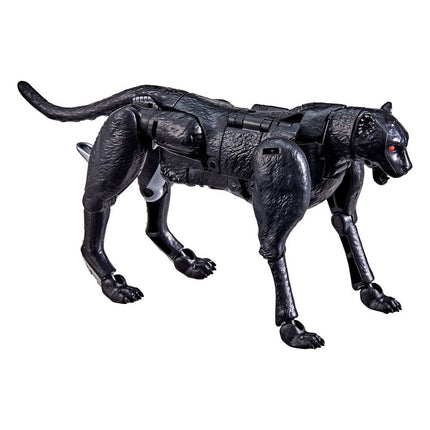 Transformers Generations War for Cybertron: Kingdom Action Figures Deluxe 2021 W5 14cm Shadow Panther