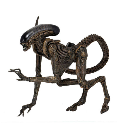 Dog Alien 23 cm Action Figure Ultimate Alien 3 1992 Xenomorfo Cane NECA 51597 (4166028918881)